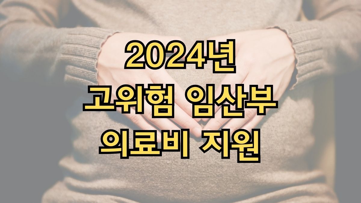 고위험임산부 의료비지원