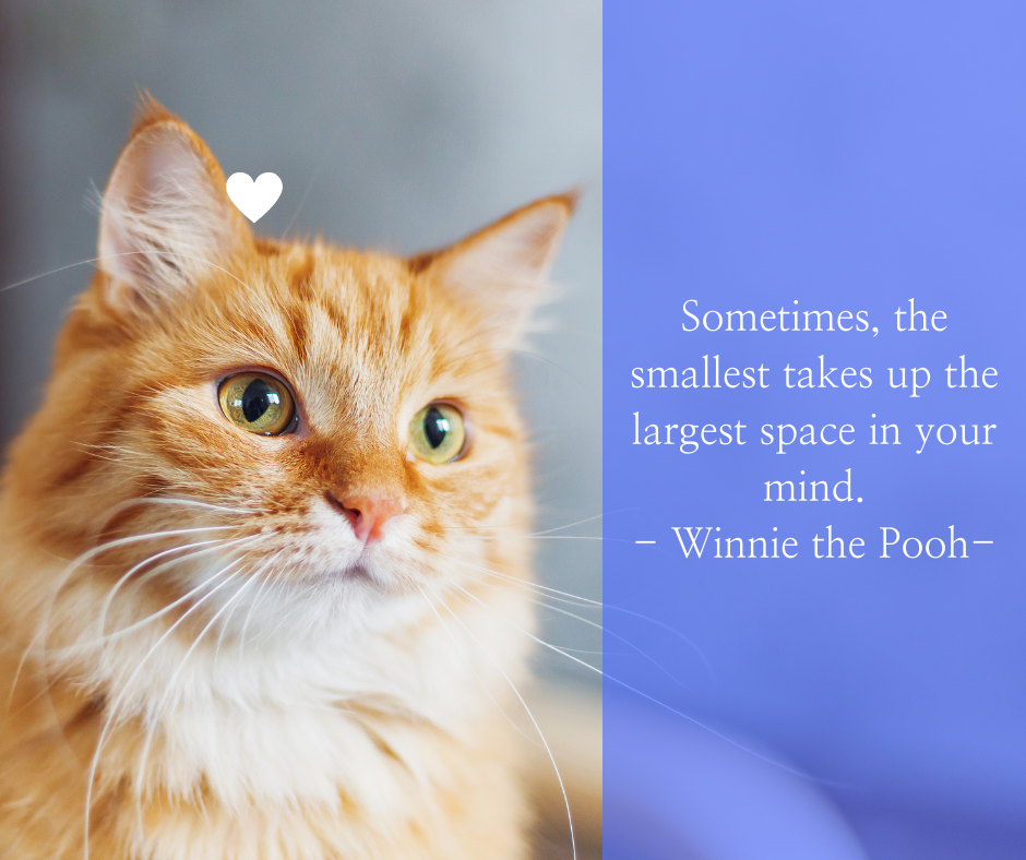 Sometiimes, the smallest takes up the largest space in your mind. -Winnie the Pooh-