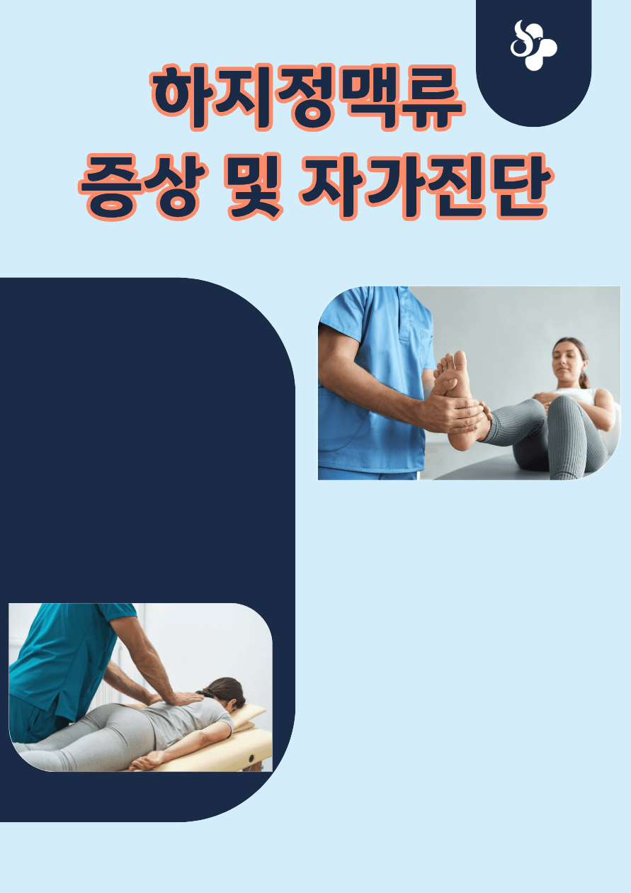하지정맥